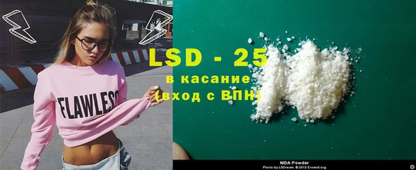 хмурый Алзамай