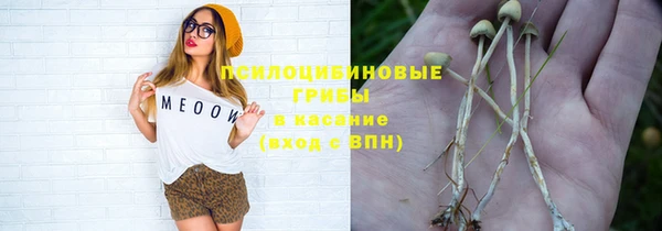 дживик Алексеевка