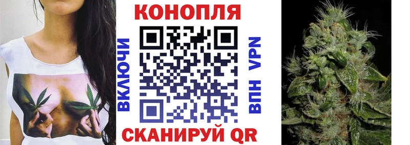 купить наркотики цена  Гаджиево  Канабис план 
